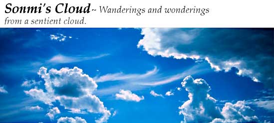 Wanderings and wonderings from a sentient cloud.