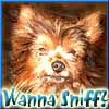 Wanna Sniff? - http://sitehoundsniffs.com/