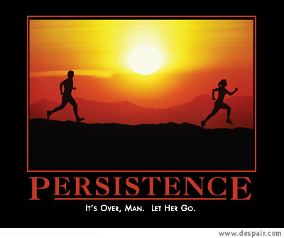 persistance.jpg