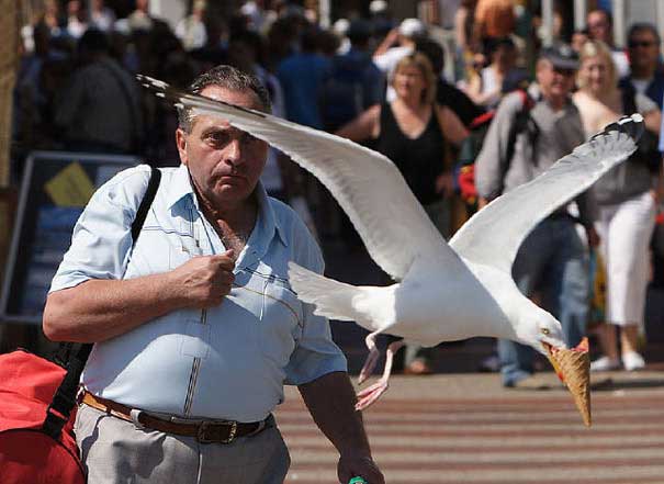 PerfectTiming-11.jpg