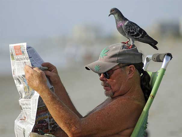 PerfectTiming-23.jpg
