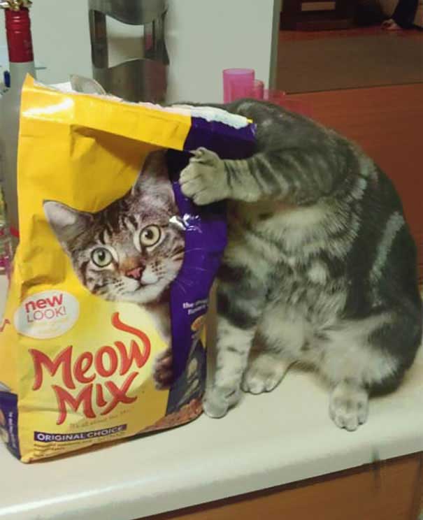 PerfectTiming-25.jpg