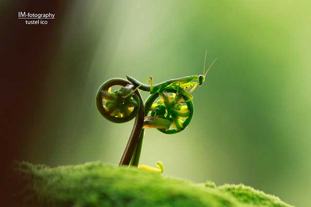 PerfectTiming-27.jpg