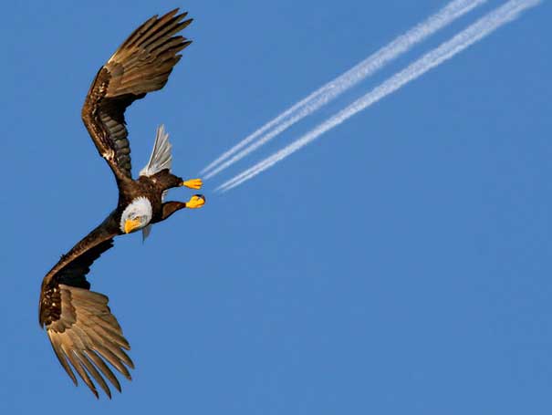 PerfectTiming-28.jpg