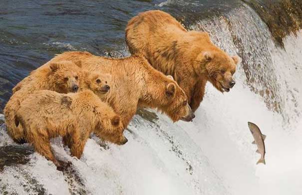 PerfectTiming-29.jpg
